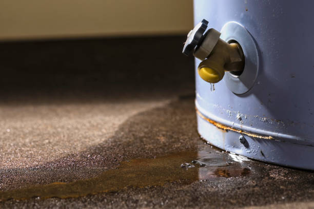 Best Local water damage restoration  in Moscow, PA