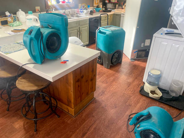 Best Water damage cleanup near me  in Moscow, PA