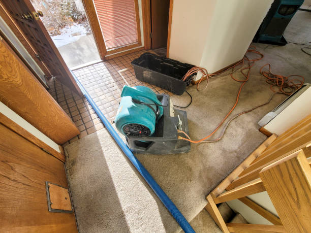 Best 24-hour water damage restoration  in Moscow, PA