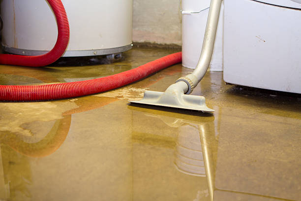 Best Residential water damage restoration  in Moscow, PA