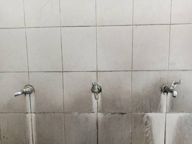 Best Water damage cleanup near me  in Moscow, PA