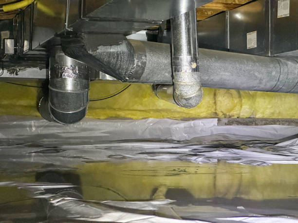 Best Sewage cleanup and water damage restoration  in Moscow, PA