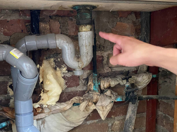 Best Water damage restoration mold remediation  in Moscow, PA